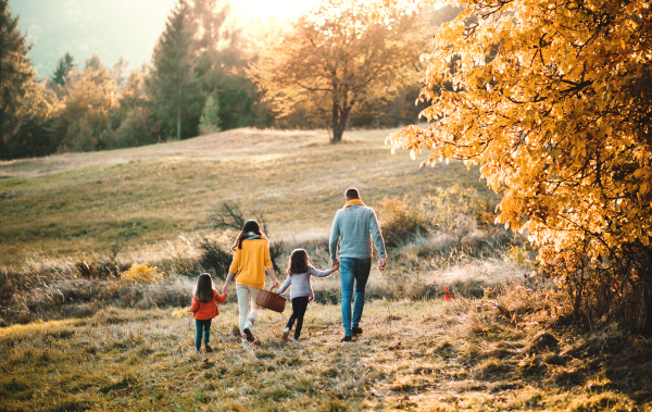 A rear view of young family with two small children walking in autumn nature, holding hands.