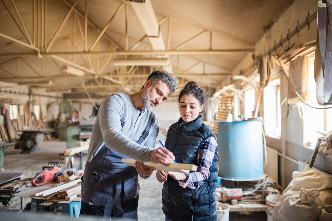 Portrait of a man and woman workers in the carpentry workshop, working together.