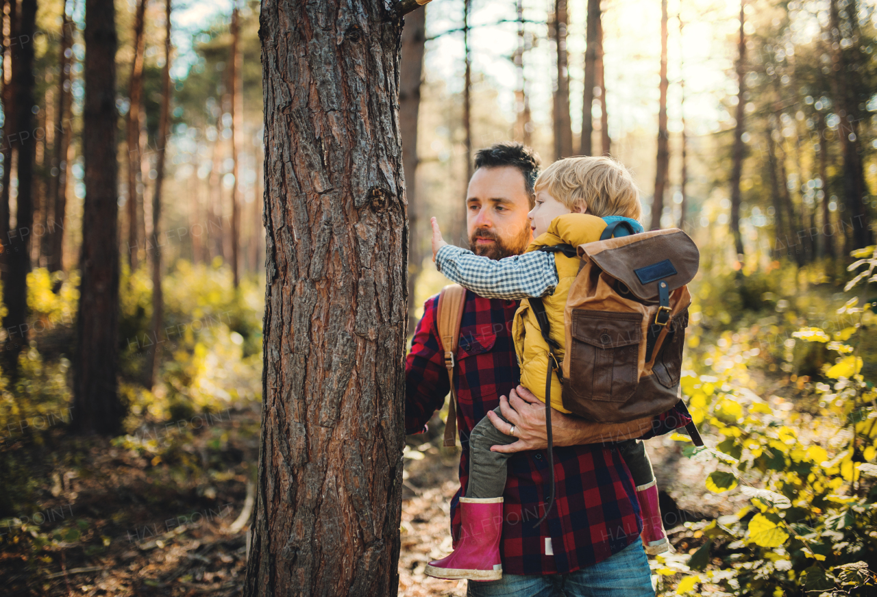 A mature father standing and holding a toddler son in an autumn forest, standing by a tree and talking.