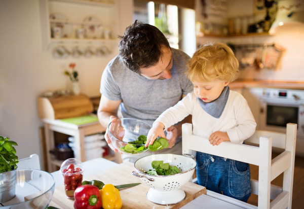 Young father with a toddler boy cooking. A man with his son making vegetable salad.