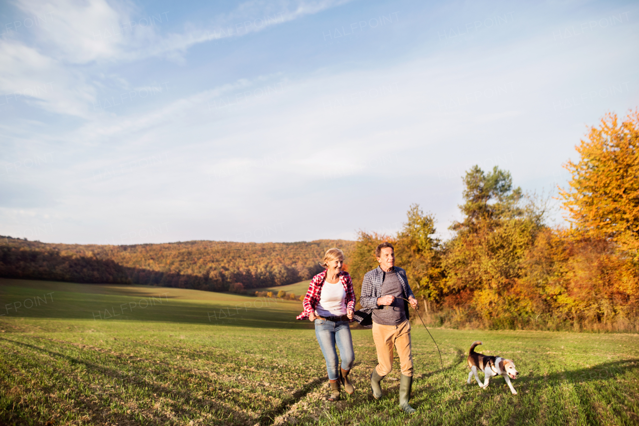 Active senior couple with dog on a walk in a beautiful autumn nature.