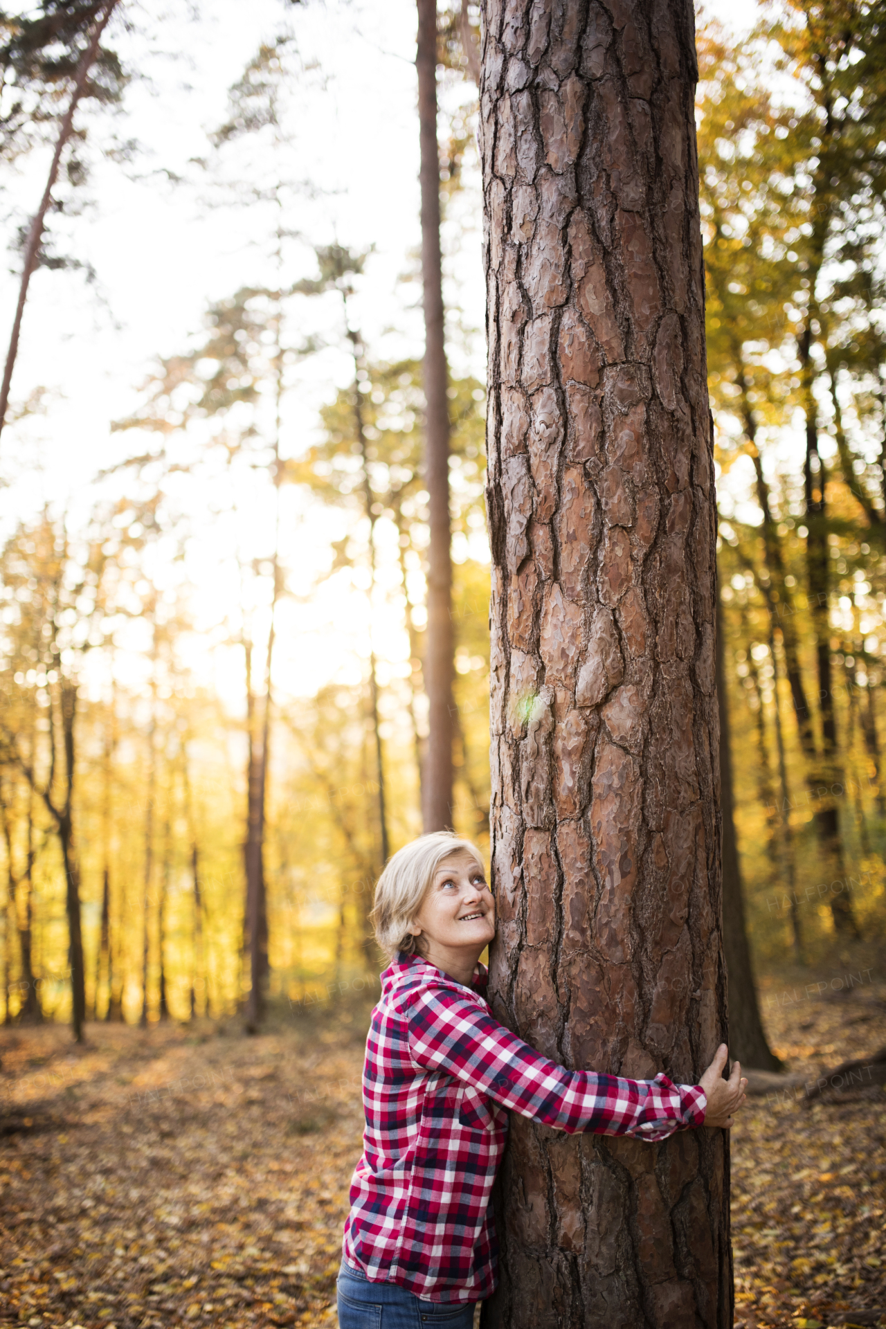 Active senior woman on a walk in a beautiful autumn forest. Tree hugger.