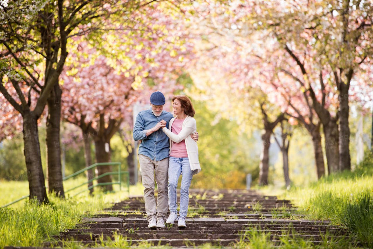 Beautiful senior couple in love on a walk outside in spring nature under blossoming trees.