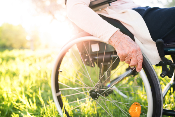 Unrecognizable elderly woman in wheelchair outside in spring nature.