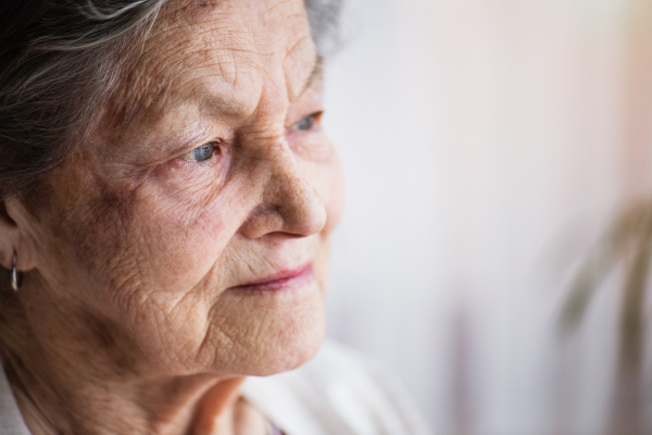 Portrait of a happy senior woman at home. Close up. Copy space.