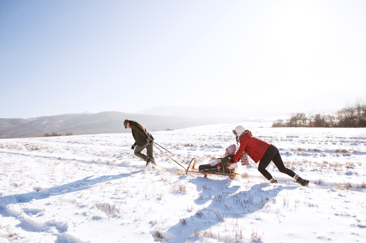 Mother pushing daughter on sledge, father pulling her. Beautiful family in sunny winter nature.