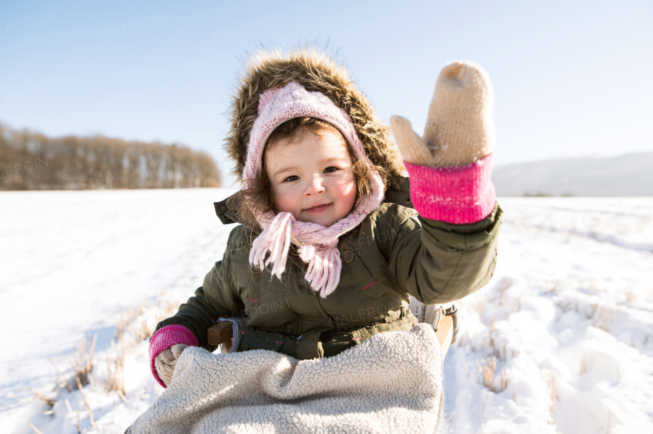 Cute little girl outside in winter nature on sunny day, sitting on sledge, waving
