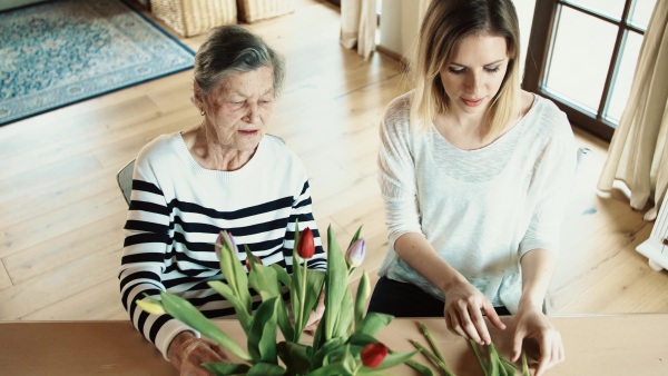 Portrait of an elderly grandmother with an adult granddaughter at home. Women putting flowers in a vase. Top view.