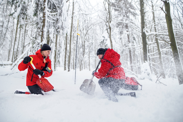 Mountain rescue service on operation outdoors in winter in forest, digging snow with shovels. Avalanche concept.