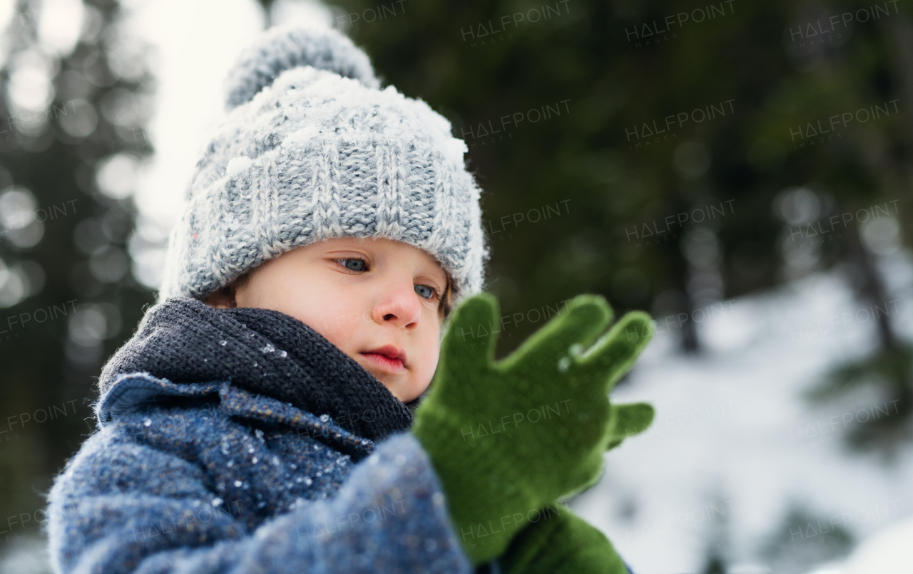 Happy small child standing in snow, holiday in winter nature.