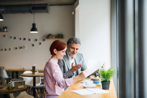 A man and woman having business meeting in a cafe, using laptop.