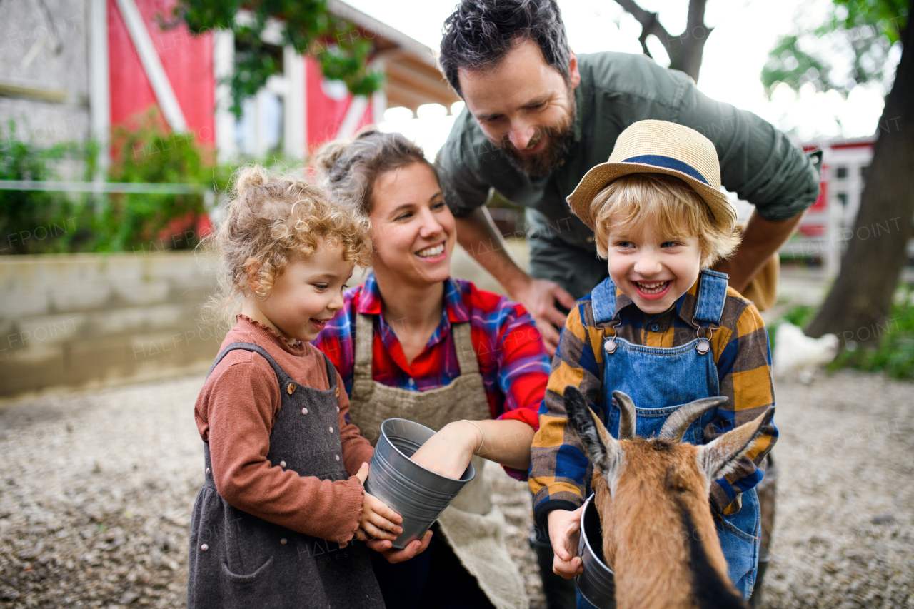 Portrait of happy family with small children standing on farm, feeding goat.