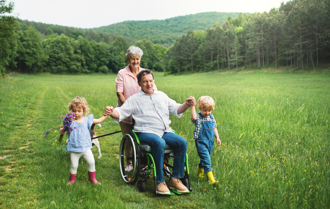 Small children with senior grandparents in wheelchair and dog on a walk on meadow in nature.