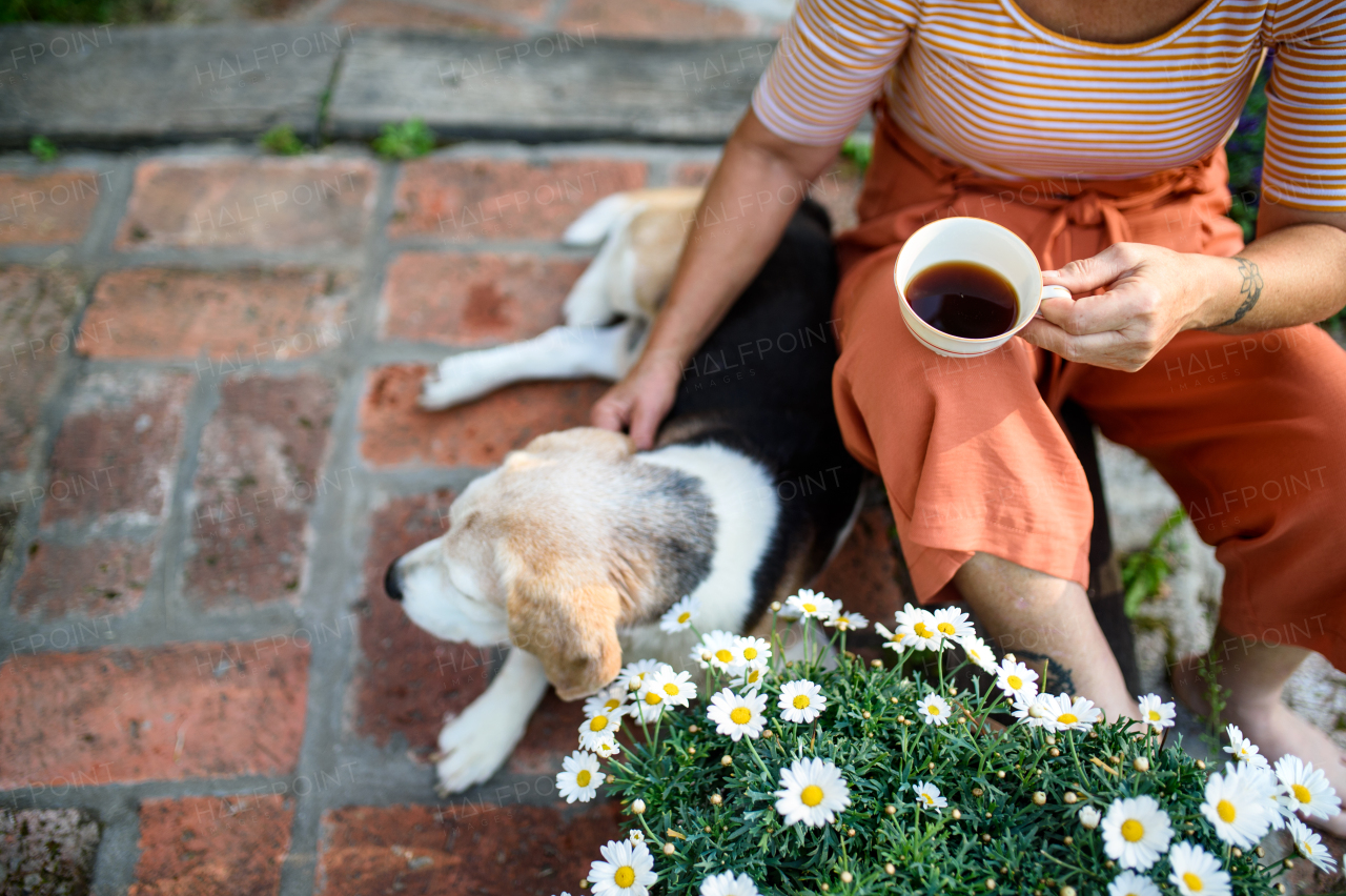An unrecognizable senior woman with coffee sitting outdoors in garden, pet dog friendship.