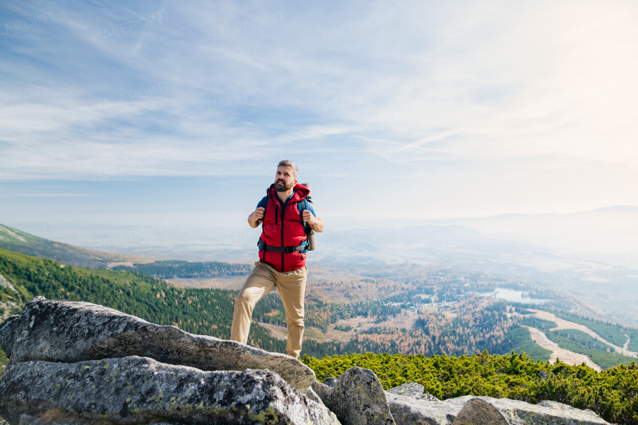 Mature man with backpack hiking in mountains in summer, resting.