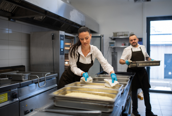 A chef and cook working on their dishes indoors in restaurant kitchen.