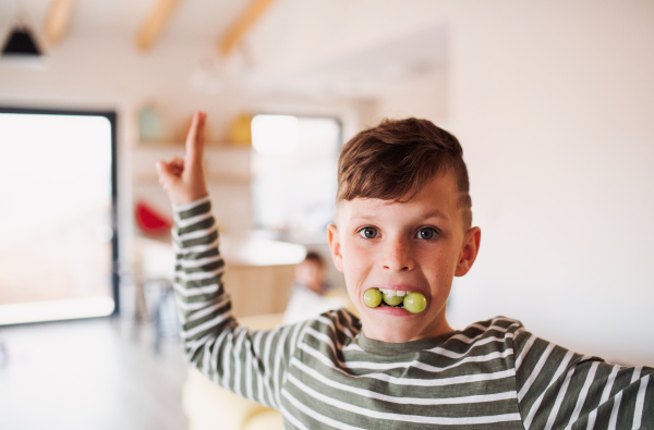 A portrait of cheerful small boy eating grapes indoors, having fun. Copy space.