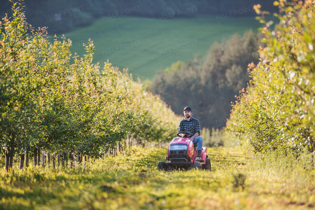 A front view of mature farmer driving mini tractor outdoors in orchard.