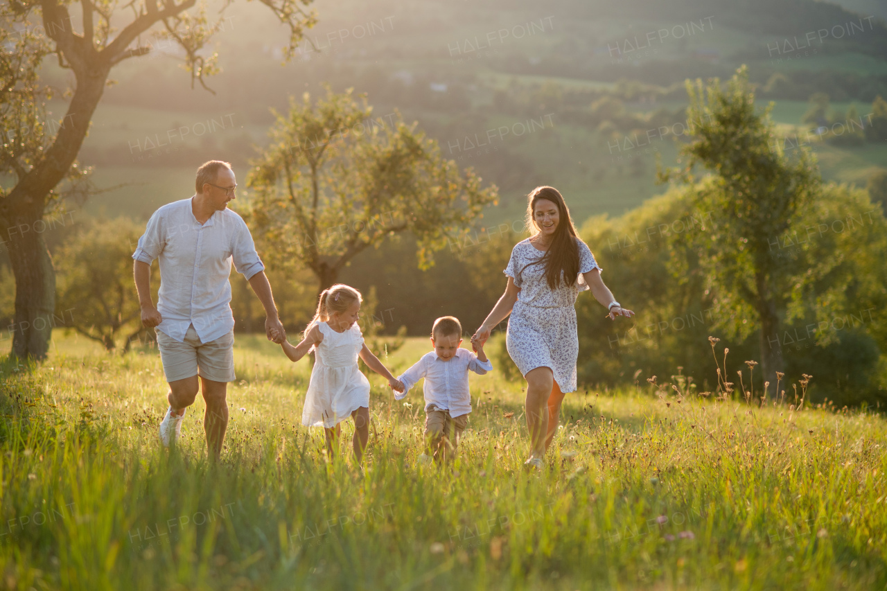 Happy young family with two small children walking on meadow outdoors at sunset.