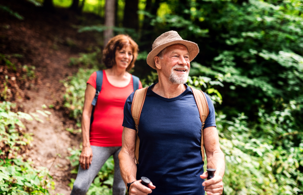 A senior tourist couple with backpacks on a walk in forest in nature.