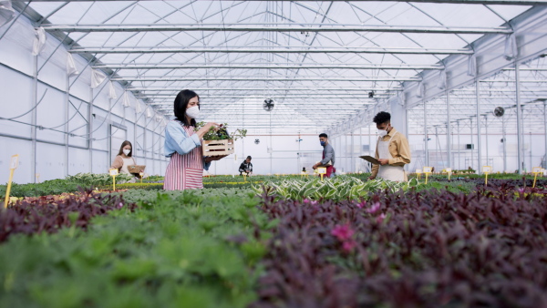 Large group of people working in garden centre.