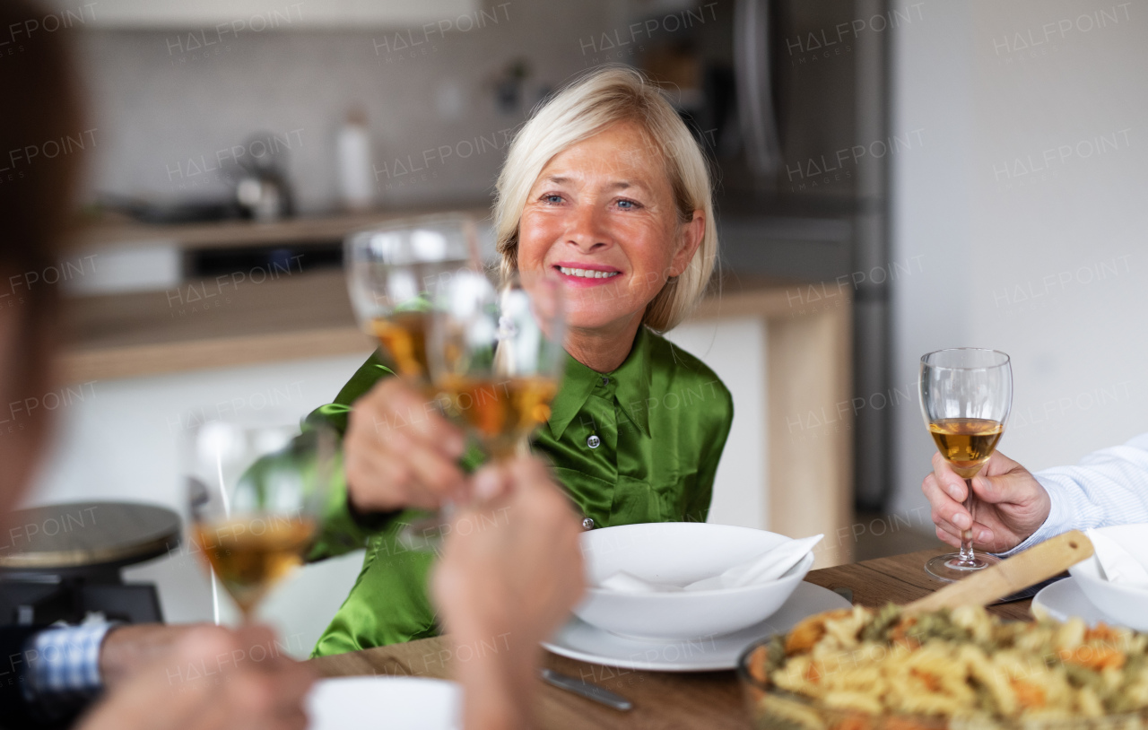 Group of senior friends enjoying dinner party at home, clinking glasses.