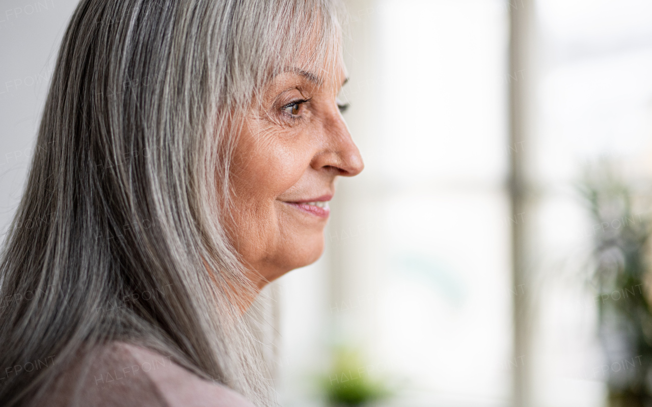 Side view close-up portrait of senior woman standing indoors at home. Copy space.