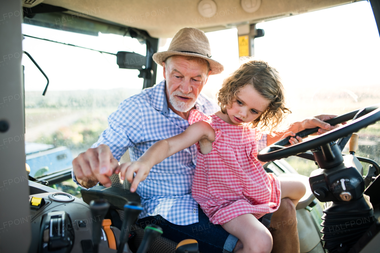 A senior farmer with small granddaughter sitting in tractor, driving.