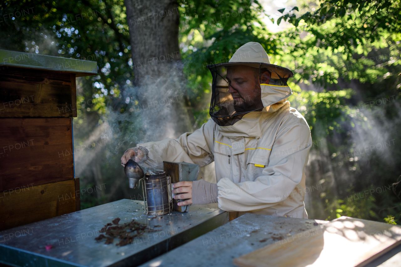 A portrait of man beekeeper working in apiary, using bee smoker.