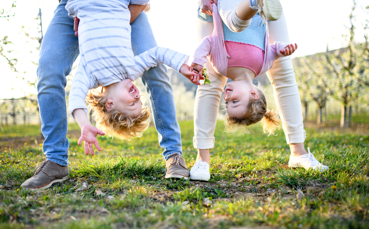 Cheerful family outdoors in orchard in spring, holding children upside down.