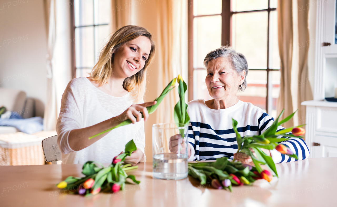 Portrait of an elderly grandmother with an adult granddaughter at home. Women putting flowers in a vase.