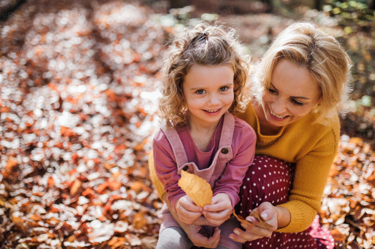 Top view of small girl with mother on a walk in autumn forest, resting.