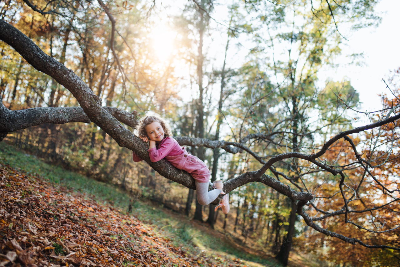 Portrait of small girl lying on tree branch in autumn forest, having fun.