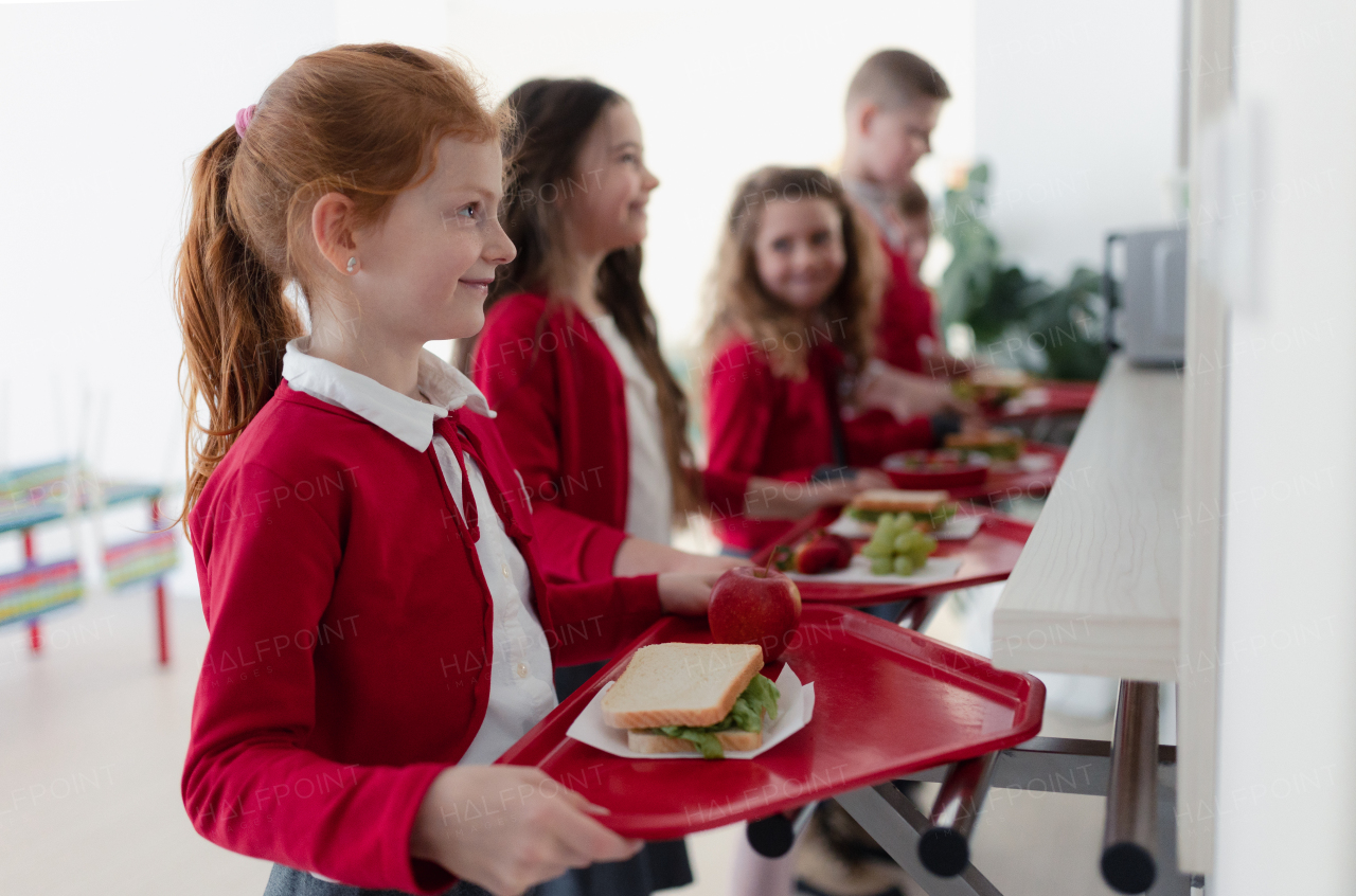 Happy schoolchildren standing in a queue with trays and receiving lunch in school canteen.