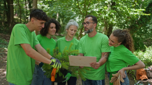 Group of volunteers picking trash, removing litter from forest, protecting nature and wildlife. Forest cleanup. Environmental education program by local community.