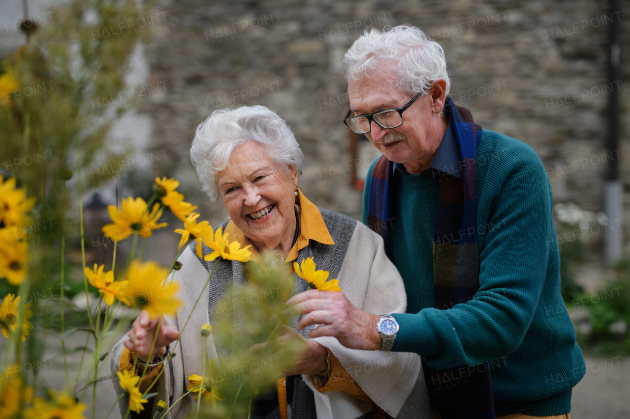 Happy senior couple at autumn city walk, posing with the flowers.