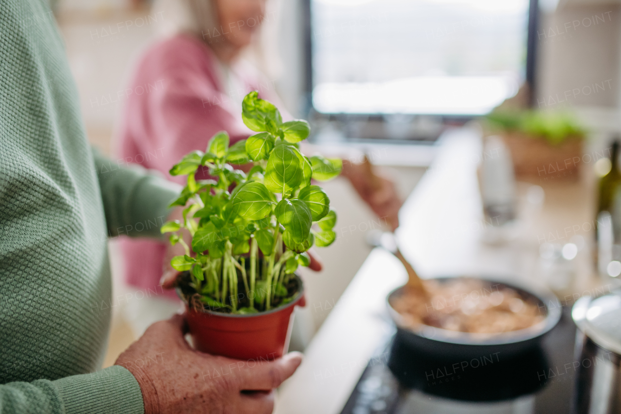 Senior couple cooking together in the kitchen.