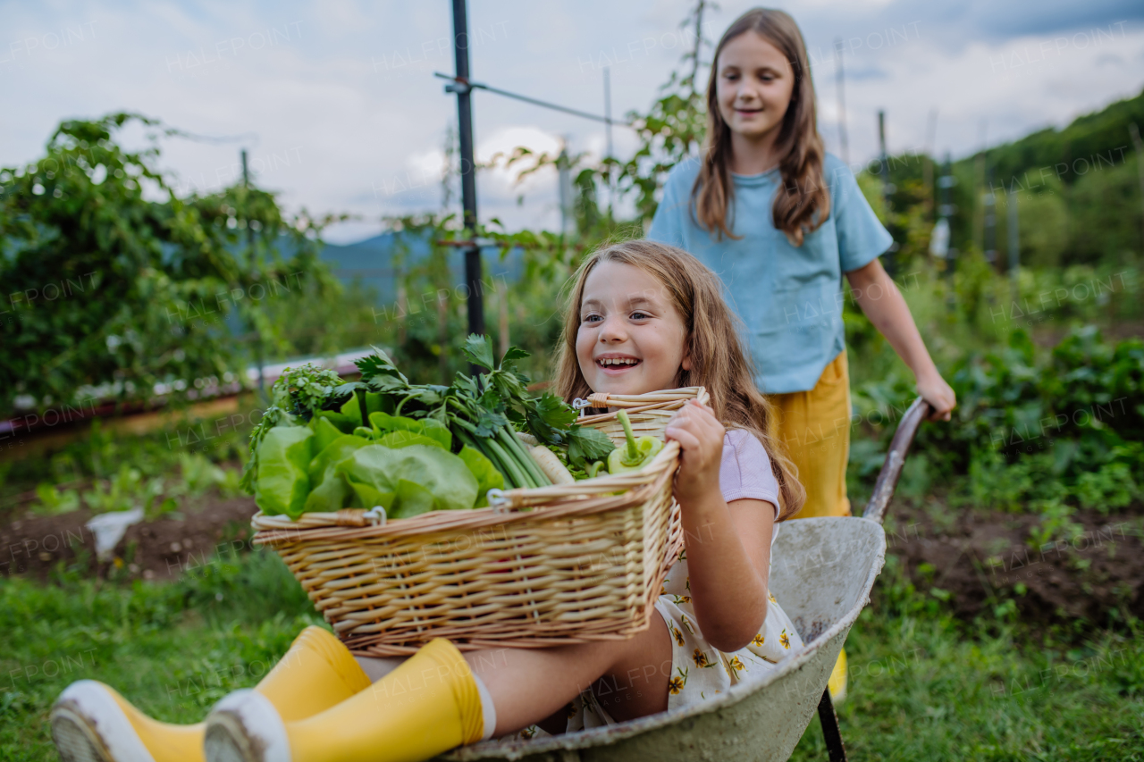 Sister pushing little girl in a wheelbarrow through the garden. The girl raising her hands above her head and laughing during the ride.