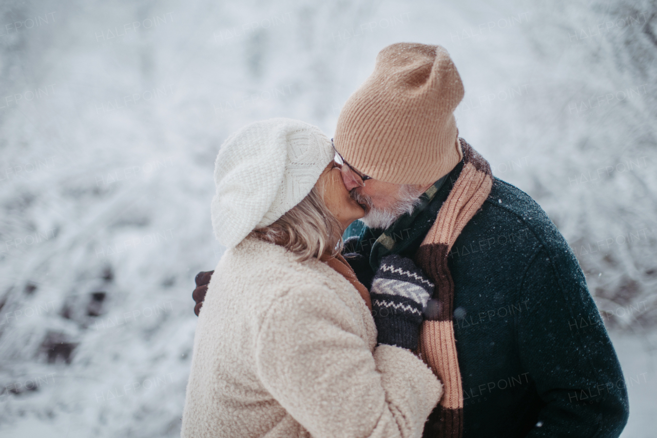 Elegant senior couple kissing in the snowy park, during cold winter snowy day. Elderly couple spending winter vacation in the mountains. Wintry landscape.