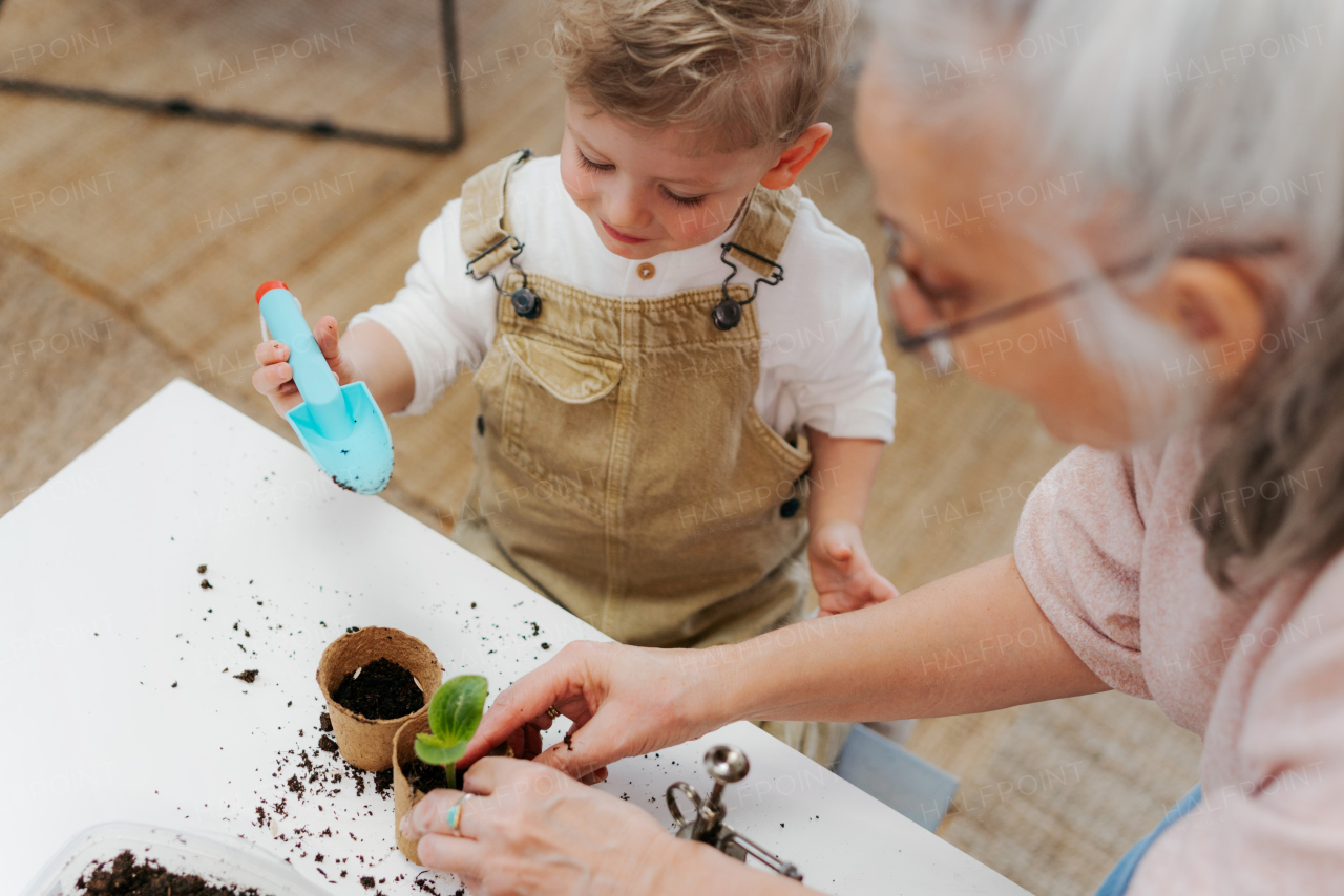 Grandmother with her grandson planting vegetables and flowers, spring time.