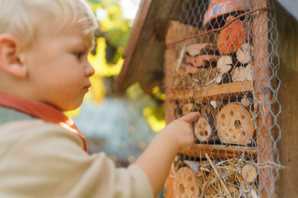 Little boy looking at insect house. Concept of home education, ecology gardening and sustainable lifestyle.