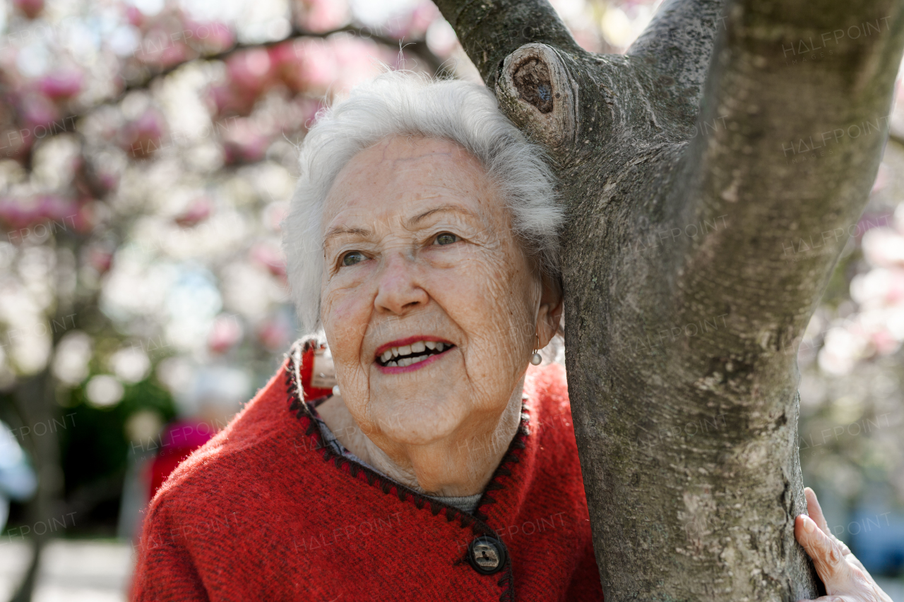 Portrait of beautiful elderly woman standing by magnolia tree, in park, having relaxing moment. Grandmother enjoying warm spring weather.