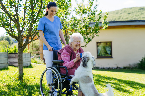 Female caregiver showing cute dog to senior woman in wheelchair. Nurse and elderly woman enjoying a warm day outdoors, in garden.