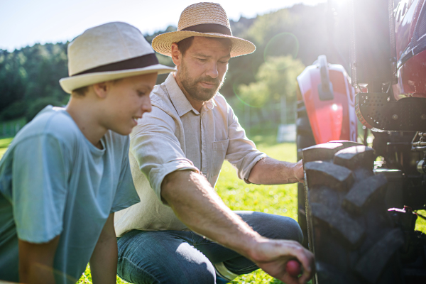Farmer teaching son, how to fix wheel on tractor. Tractor maintenance. Harvesting crops, collecting vegetables on family farm. Concept of farming and agricultural business.