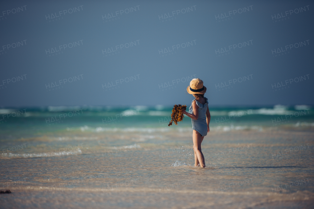 Rear view of a little girl walking on the beach with seaweed in hand. Full body shot of smilling girl in blue swimsuit, enjoying sandy beach and crystalline sea of Mnemba beach in Zanzibar, with copy space. Concept of beach summer vacation with kids.
