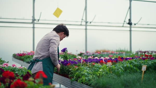 A happy young employee with Down syndrome working in garden centre, taking care of flowers.