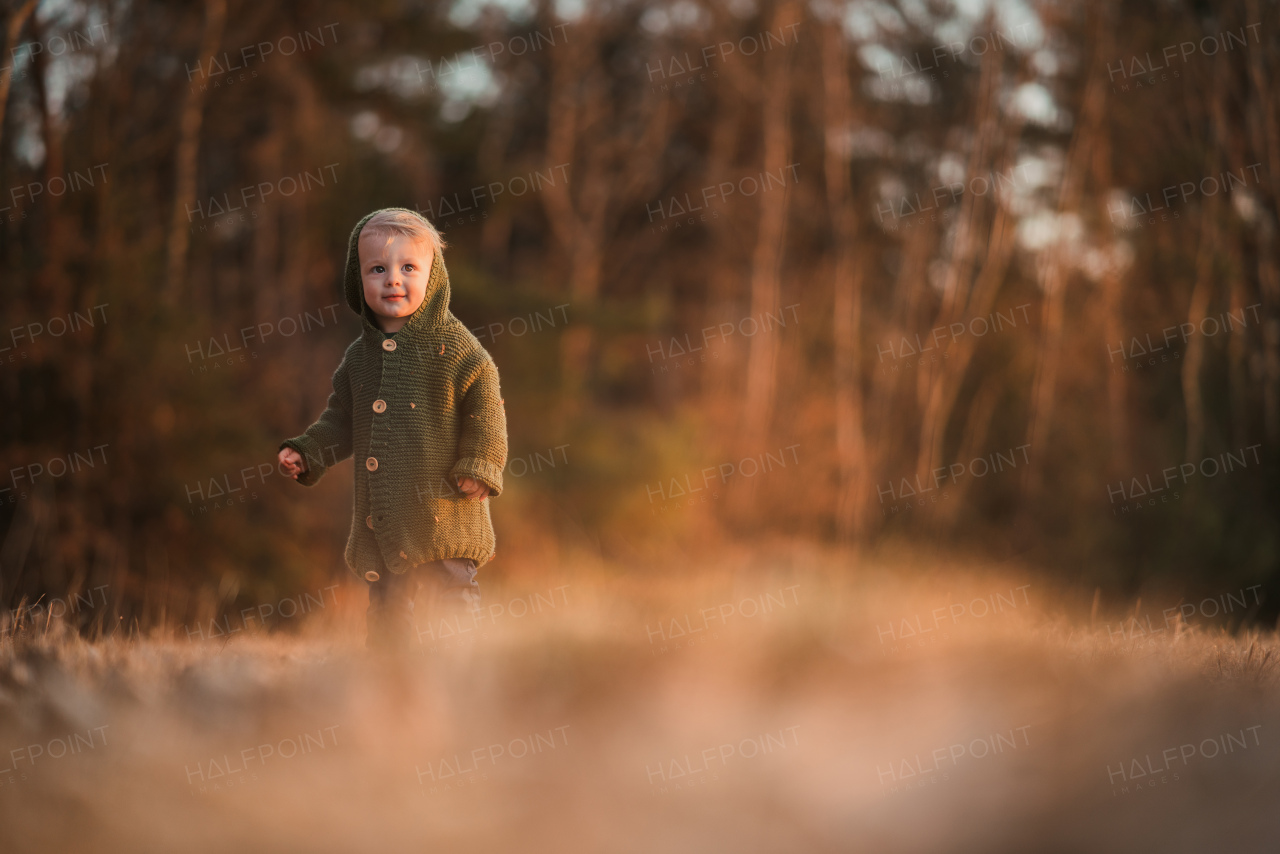 A happy little boy in knitted hoodie having fun on walk in autumn nature.