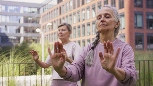 Senior women friends doing exercise outdoors in park