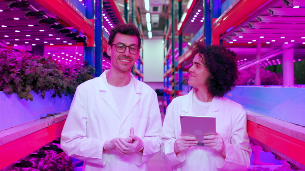 Portrait of workers using tablet on aquaponic farm, sustainable business and artificial lighting.