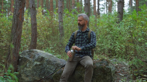 Handsome mature man sitting on rock in the middle of nature, enjoying peaceful atmosphere of the forest, drinking water.